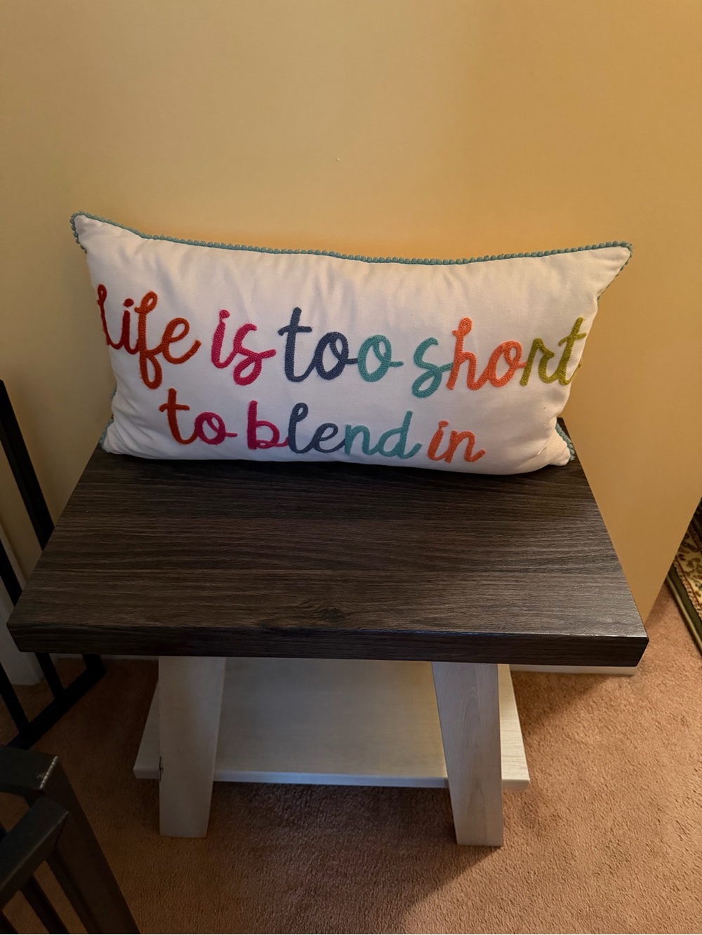 Used Decorative Pillow